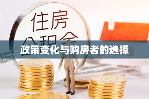 屯昌政策变化与购房者的选择