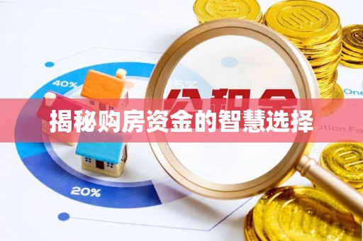 屯昌揭秘购房资金的智慧选择
