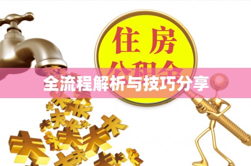 屯昌全流程解析与技巧分享